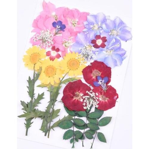 DIY Petal Face Makeup Hanfu Parent Child PhotoProp Plant Specimen Kindergarten Handicraft Candle Making