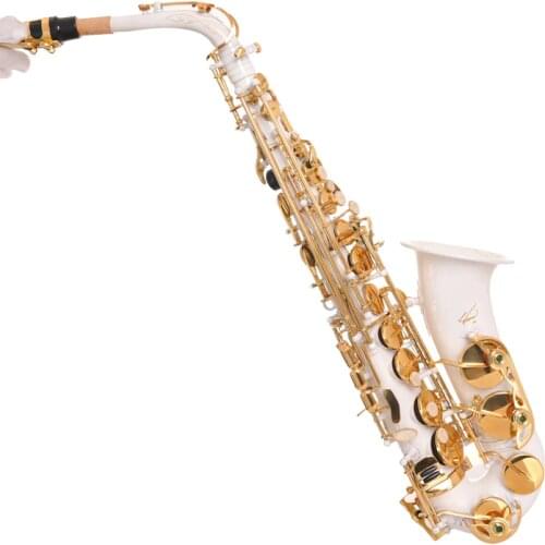 JM New high quality Alto Saxophone Sax Professional E flat Saxofone Musical Instruments performances Free Case