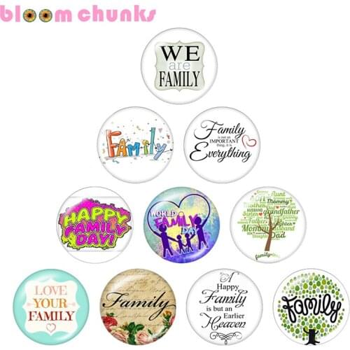 Family 10pcs mixed 12mm/18mm/20mm/25mm Round photo glass cabochon demo flat back Making findings S2138