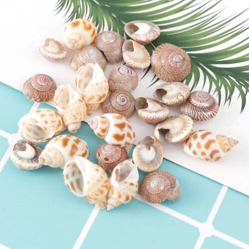 1 Box Nature Mix Style Beach Fashion Shells Sea Shells For DIY Caft Decor Jewelery Craft Accessories Holes Shell Charm Nail Sh