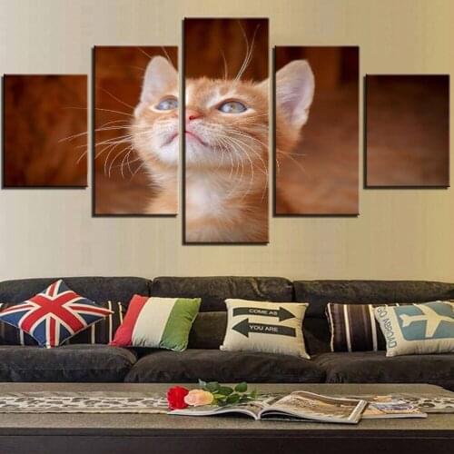 5 Pieces Cute Orange Cat Canvas Art Painting Kitty Posters Animal Pictures For Room Improvement Decor Kitten Wallpapers