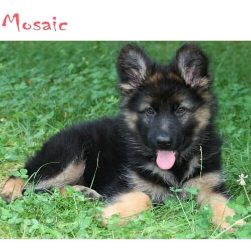 NEW 5d diy full Diamond embroidery Animal,Pet dog,Cub,German Shepherd full diamond painting Cross Stitch Rhinestone mosaic deco