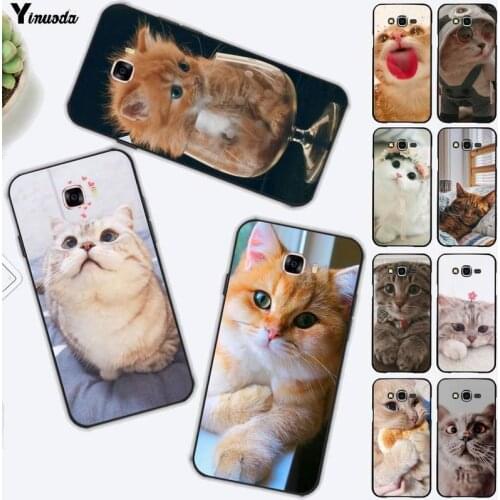 Yinuoda Cute Cat Kitten Painted Phone Case for Samsung J6 J7 J2 J5 prime J4 J7 J8 2016 2017 2018 DUO core neo