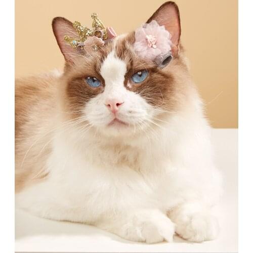 Pet Hair Clips Cute Floral Shape Pet Hairpin Dog Cat Puppy Hair Headdress Pet Hair Grooming Accessories with Clips