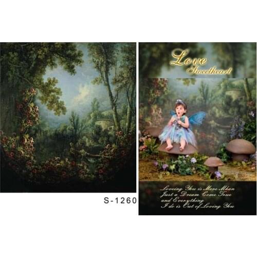 Fairy girl photo shooting backgrounds vinyl newborn Photography backdrops for wonder photo Studio accessories photophone S-1260