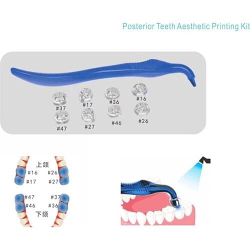 17Pcs/Set Dental Posterior Teeth Aesthetic Printing Kit Oral Material