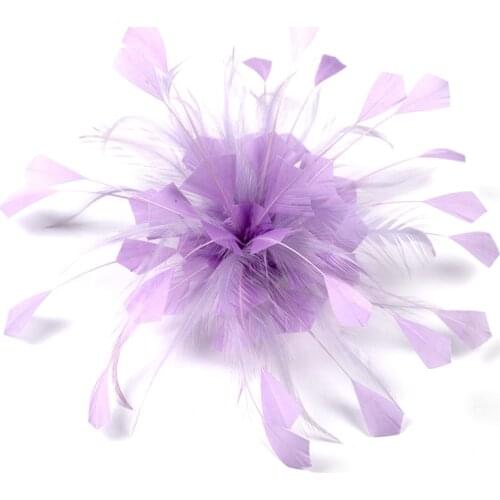 Wholesale Beautiful Natural Goose Feathers DIY Wedding Corsage Hat Decoration Carnival Accessories Dyed Fluffy Plumes For Crafts