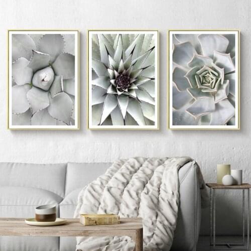 Minimalist Plant Leaf Poster Succulents Botanical Nordic Wall Art Pictures Print Canvas Painting Living Room Decoration