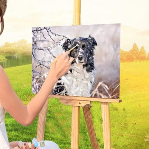 Animal Border Collie Painting By Numbers Package Acrylic Paints 40*50 Canvas Pictures Decorative Paintings For Handiwork