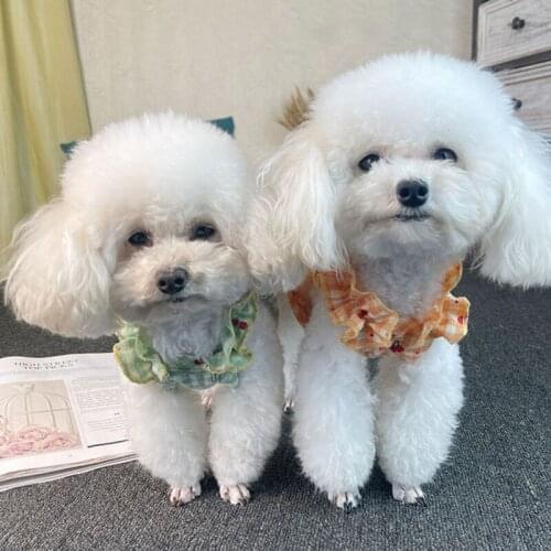 Pet Dog Princess Dress Cute Bubble Skirt Sling Elastic Short Puppy Kitten Clothes Soft Comfortable Pet Supplies Summer