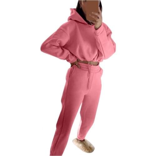 1 Set Hoodie Pants Set Hooded Drawstring Women Solid Color Crop Top Sweatshirt Sweatpants for Daily Wear