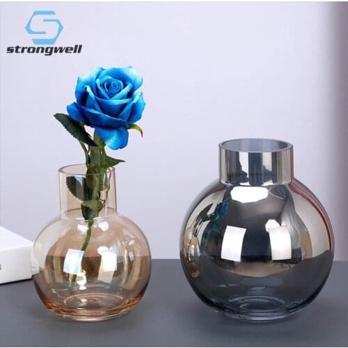 Strongwell Transparent Flower Vase Home Decoration Ornament Glass Vase Hydroponics Living Room TV Cabinet Decor Furnishings