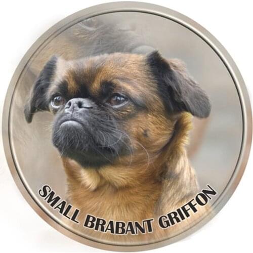 S40344# Various Sizes PVC Decal Petit Brabancon Dog Car Sticker Waterproof For Bumper Rear Window Laptop Refrigerator Toilet