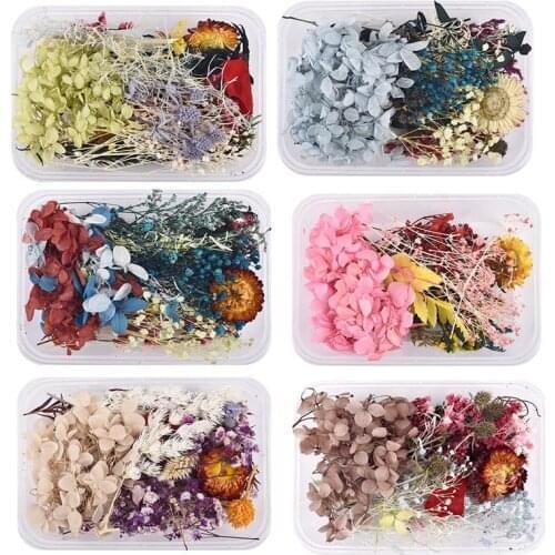 1 Box Real Dried Flower Dry Plants For Aromatherapy Candle Epoxy Resin Pendant Necklace Jewelry Making Craft DIY Accessories