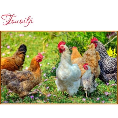 TOUOILP 5D animal Chicken Diamond Painting Full Square/Round Drill 3D hen Embroidery Cross Stitch Mosaic Home Decor