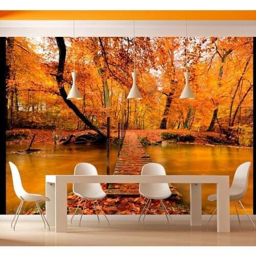 Wall mural-bridge Wood in the forest-350x270 cm