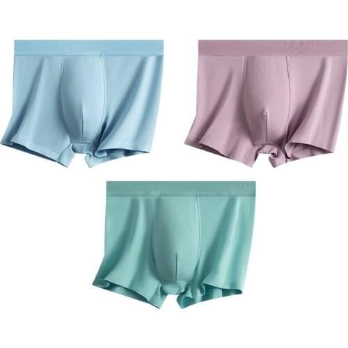 2021 New Ice Silk Boxers Mens Underpants Soft Boxers Luxury Breathable Shorts 3D Crotch Plus Size Mens Underwear 2pcs