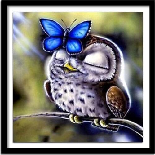 Diamant painting diamond painting full square Diamond embroidery animals owl diamond round new arrivals 573DD 5d diy