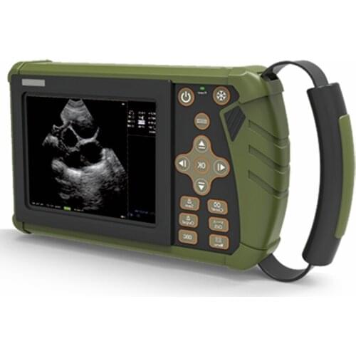 Economical and practical handheld veterinary ultrasound scanner instrument for farm animals