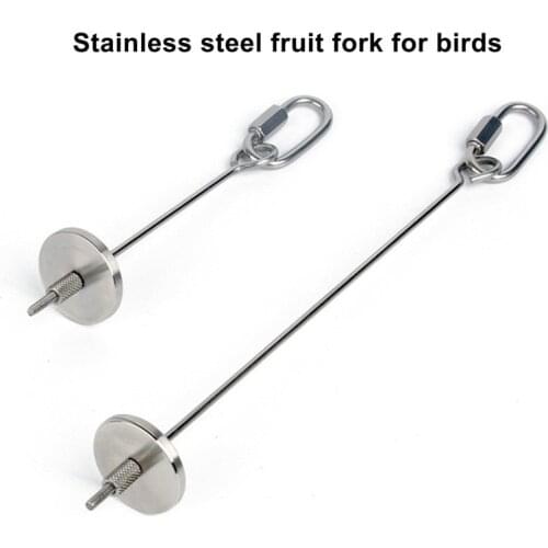 Bird Food Holder Stainless Steel Bird Foraging Feeder Hanging Fruit Stick Skewers Toy for Parrot, Small Bird