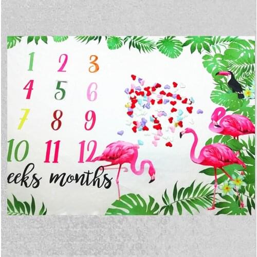 Lychee Flannel Flamingo Milestone Blanket Printed Monthly Growth Blanket Photography Props Background Blanket