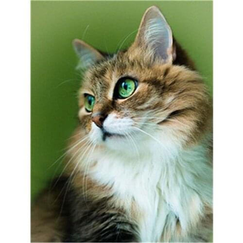 Lovely Cat Animal Pre-Printed 11CT Cross-Stitch DIY Embroidery Full Kit DMC Threads Handicraft Craft Sewing Needlework Decor