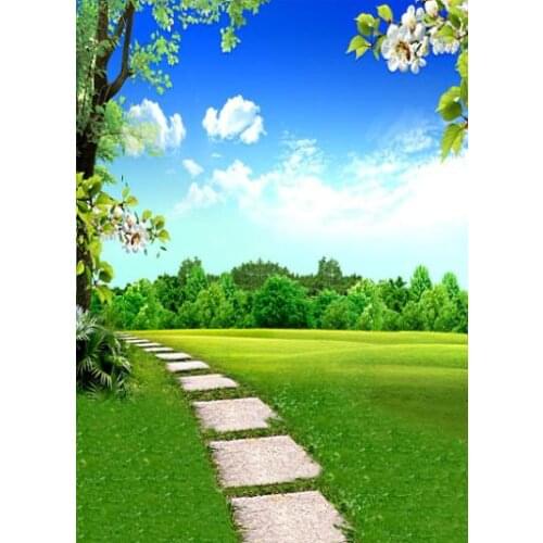 VinylBDS backgrounds Grass prairie road lined with trees flowers photography backdrops photo LK 1304