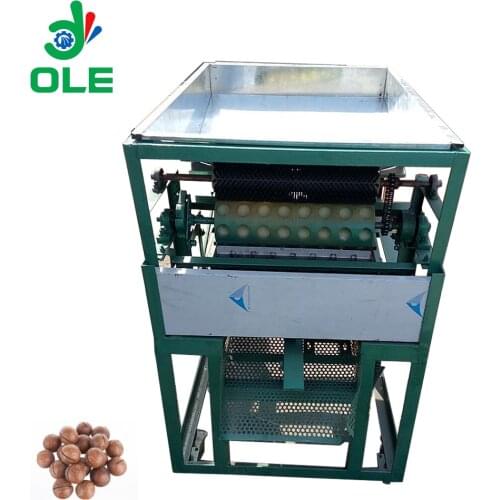 Best Price Macadamia Nut Slugging Machine Macadamia Nut Cracking Machine