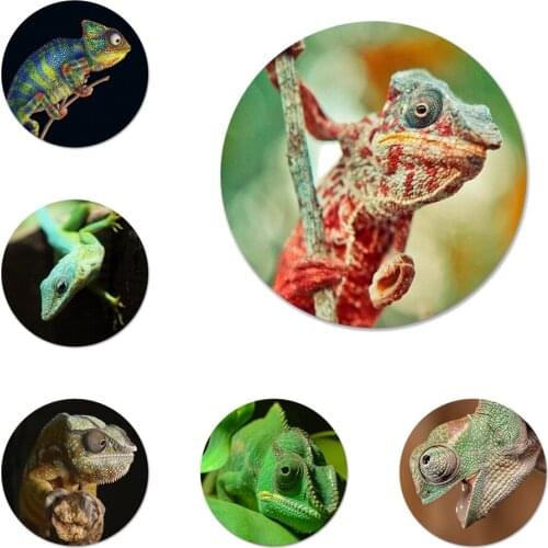 Lizard animal green Badge Brooch Pin Accessories For Clothes Backpack Decoration gift 58mm