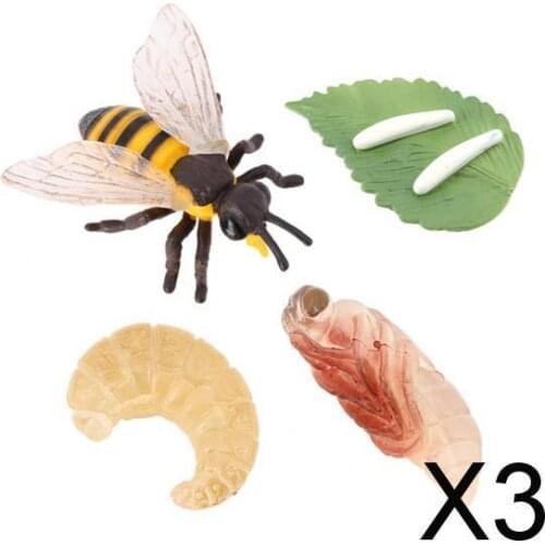 3xPlastic Kids Insect Bee Growth Life Cycle Figures Education Learning Toys