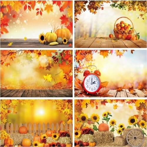 Yeele Baby Birthday Autumn Backdrop Photography Portrait Party Wood Door Glitter Haystack Background Photographic Photo Studio