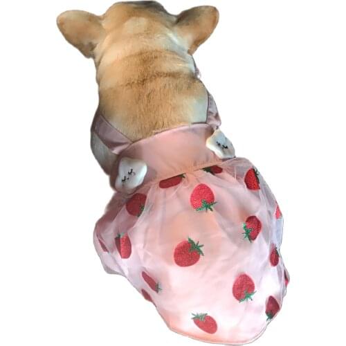 New Pet Dog Cat Strawberry Princess Dresses Dog Thin Sweet Dress for Small Girl Dog Cat Cute Pet Skirt Puppy Clothes