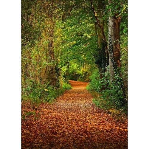Forest Pathway Vinyl Photography Backgrounds for Wedding Lover Baby Children Backdrops Photo Studio Photobooth Photo Shooting