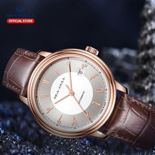 Seagull Watch Mens Mechanical Watch Simple Business Automatic Mechanical Watch Calendar Watch Belt Waterproof Watch 6054