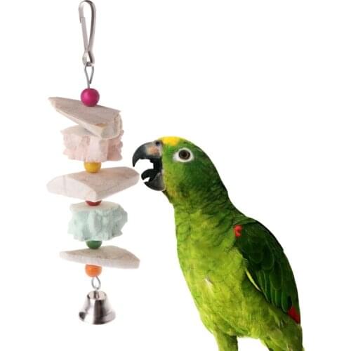 Parrot Teeth Grinding Toys Bird Squirrel Calcium Stone Cuttlefish Bone With Bell