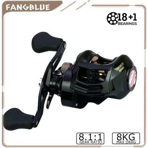 Baitcasting Fishing Reel 18+1BB 8.1:1 High Speed Carp Fishing Accessories Magnetic 8KG Max Drag Brake Fishing Wheel Tackle