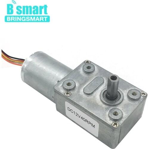 Bringsmart JGY-2430 Brushless 12 Volt 24V DC Worm Gear Motor Self-locking Reversible with Brake Speed Measuring Motor Low Noise
