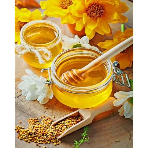 《honey》 picture painting by numbers home decor birthday present quadros decorativos