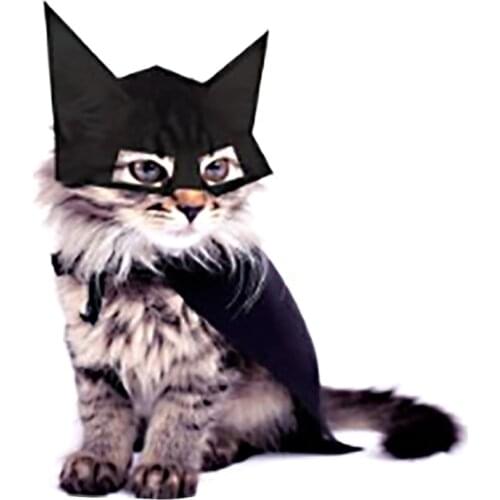 Pet Bat Hat for Halloween Party Decoration Cat Dog Cosplay Bat Costume Dress Up Accessories Adjustable Black Mask