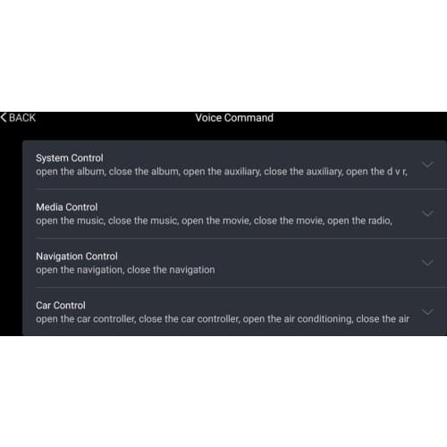 Voice control,support these eight languages :Russian, Arabic, English, Spanish, German, French, Portuguese, Italian