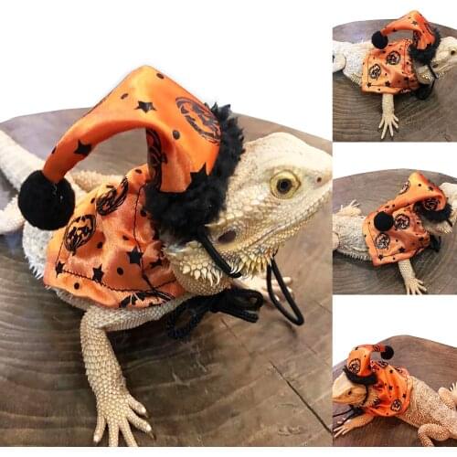 Предметы для ухода за животными ISHOWTIENDA China At AliExpress