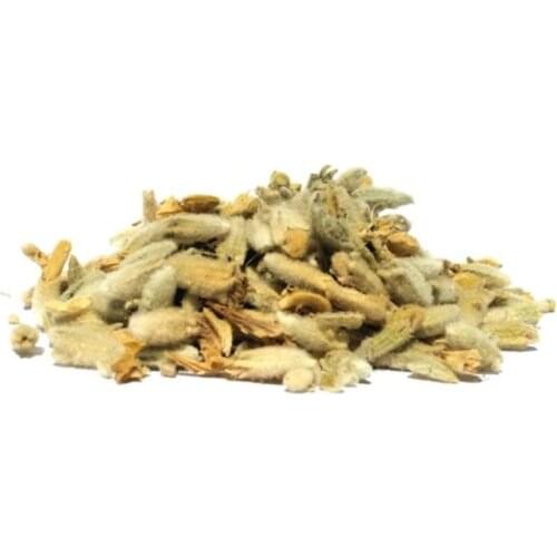 Lamium album Dead Nettle, White Nettle 50-400 GR Free Shipping