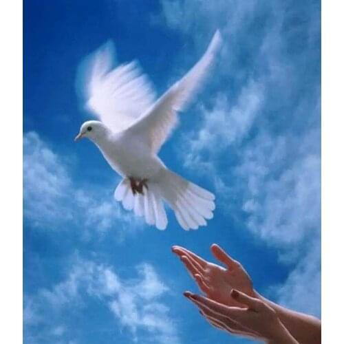 JMINE Div 5D Dove pigeon Sky cloud Full Diamond Painting cross stitch kits art High Quality Animal 3D paint by diamonds