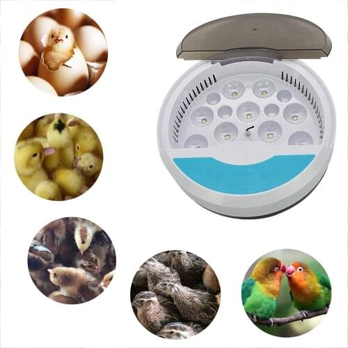 Newest Farm Hatchery Incubator Brooder Machine 9 Egg Hatchers Cheap Price Chicken Automatic Eggs Incubator Bird Quail Brooder