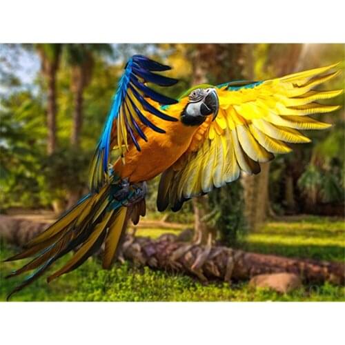 Parrot Bird Animal Printed Fabric 11CT Cross-Stitch Kit DIY Embroidery DMC Threads Painting Handmade Handiwork Mulina