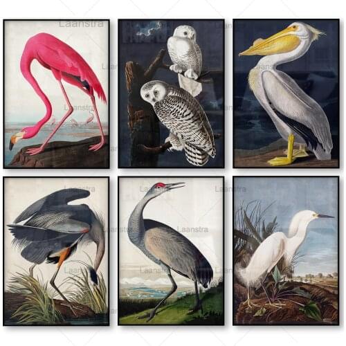 Vintage Bird Canvas Print Audubon Bird Posters Pink Flamingo Snowy Owl Pelican Blue Heron White Egret Canvas Painting Wall Art