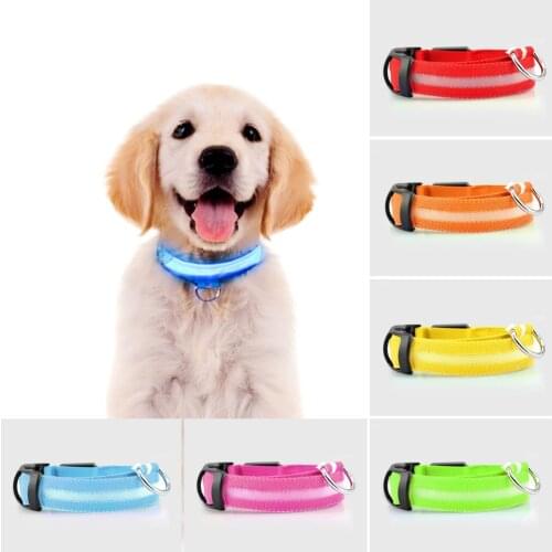 Puppy Cat Dog collar With Flashing Lights Night Safe Harnesses Medium Large Dogs Luminous Fluorescent Collars Pet Supplies