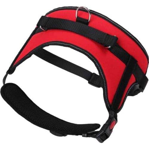 Harnesses Rabbi tree China