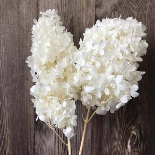 Real Dried Natural Preserved Big-Leaf Hydrangea Flowers With Pole,Eternal Roses Forever Pagoda shape Hydrangeas For Decoration