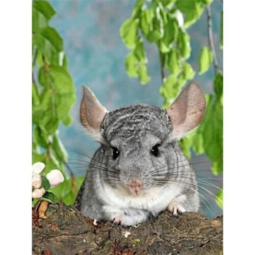 5D Diy Diamond Painting Chinchilla Lanigera Cross Stitch Mouse Diamond Embroidery Full Square Drill Mosaic Pasted Home Decora